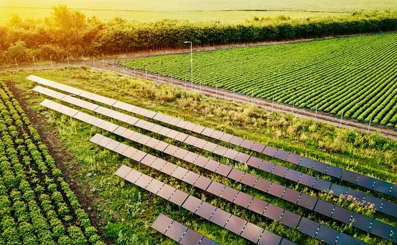 克羅地亞：太陽(yáng)能農(nóng)場(chǎng)生產(chǎn)動(dòng)力和食物