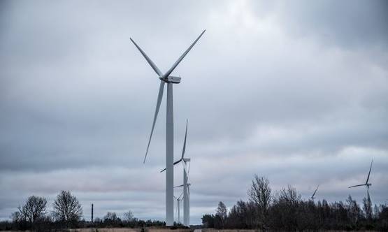 強風使愛沙尼亞風電場滿負荷運轉，電力市場價格也受影響