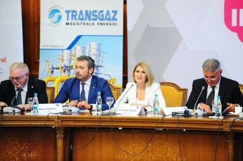 羅馬尼亞能源市場(chǎng)及未來(lái)能源戰(zhàn)略