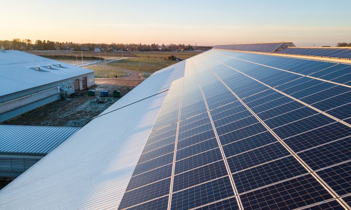 愛(ài)沙尼亞奶牛場(chǎng)開(kāi)始工作的太陽(yáng)能發(fā)電廠處于最高容量