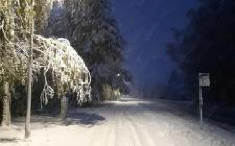 愛(ài)沙尼亞南部地區(qū)受暴風(fēng)雪影響，致數(shù)萬(wàn)家庭無(wú)電