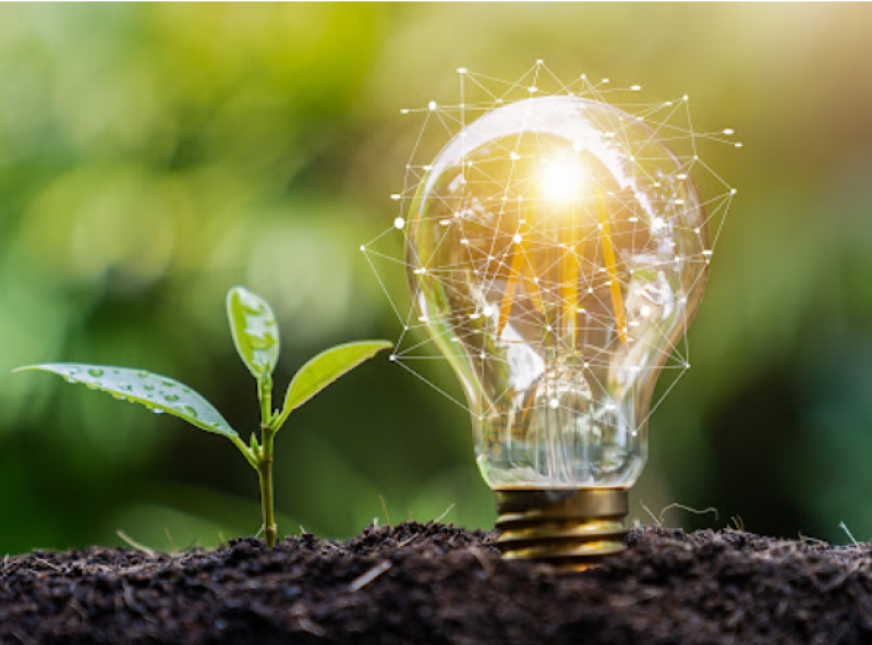 第七屆中新環(huán)境政策對話會在京舉行