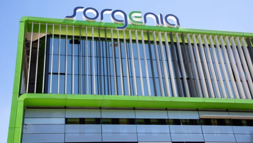 Sixth Street收購(gòu)Sorgenia股份布局歐洲可再生能源市場(chǎng)