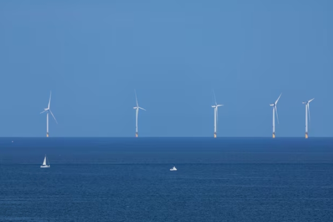 巴西推首個海上風電聯(lián)合培訓項目 助力行業(yè)人才培養(yǎng)