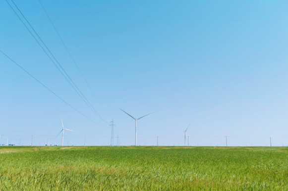 全球最大單體綠氨裝置——大安風光制綠氫合成氨一體化風電項目全容量并網(wǎng)